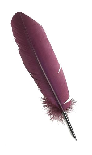 Quill Pen - Assorted Colours